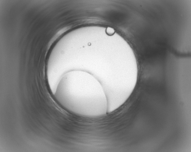 X0000082171322200702021716