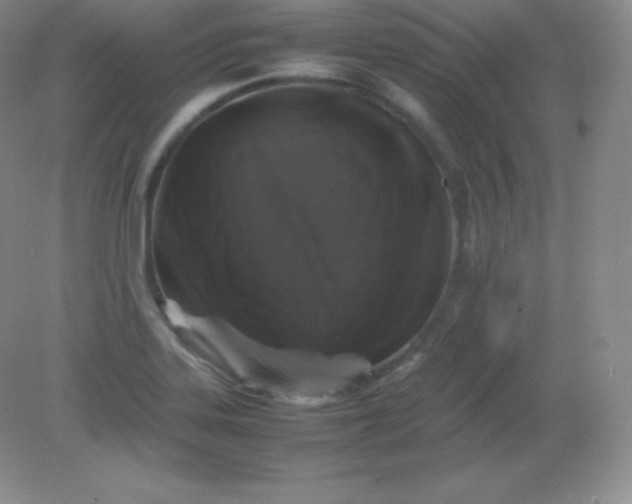 X0000082171323200702021716