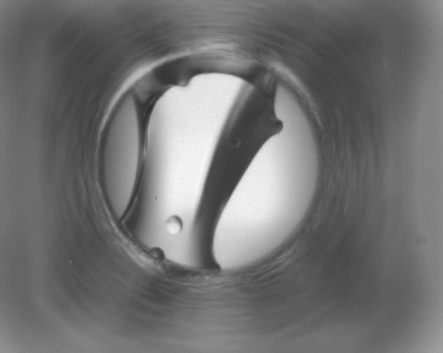 X0000082171324200702021716