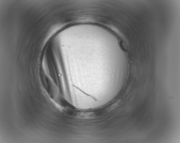 X0000082171325200702021716