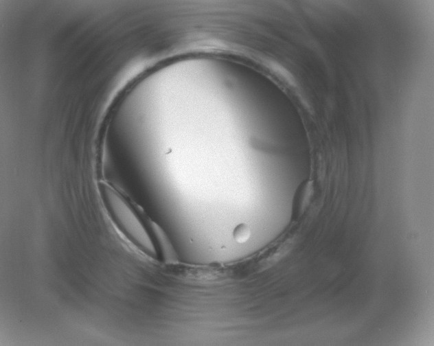 X0000082171326200702021716