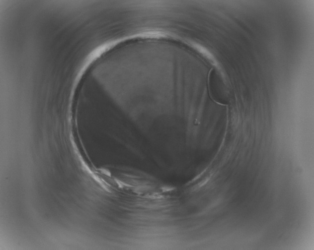 X0000082171327200702021716