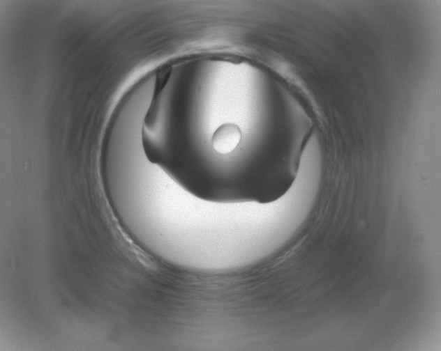 X0000082171328200702021716