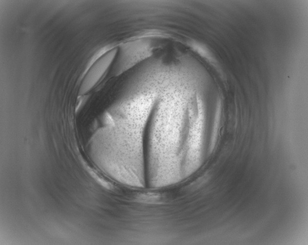 X0000082171329200702021716