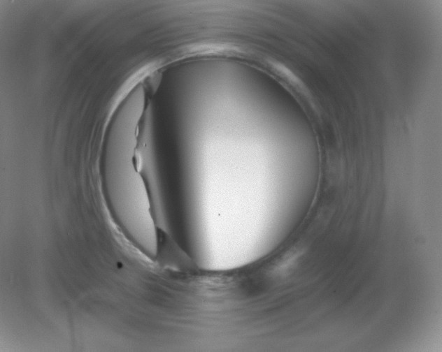 X0000082171330200702021716