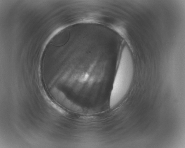 X0000082171331200702021717