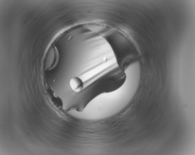 X0000082171332200702021717