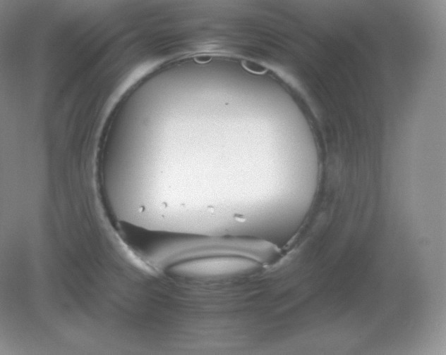 X0000082171333200702021717