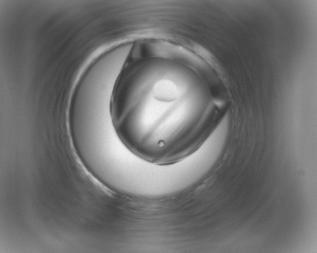 X0000082171334200702021717