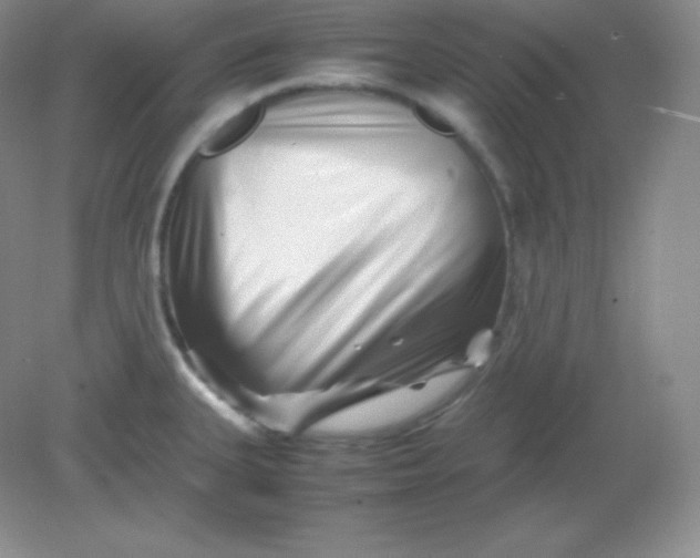 X0000082171335200702021717