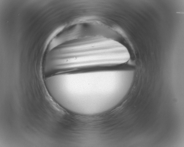 X0000082171336200702021717