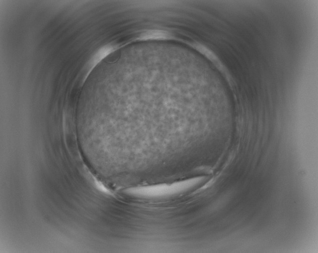 X0000082171337200702021717