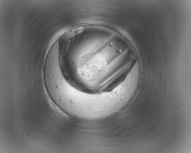 X0000082171338200702021717