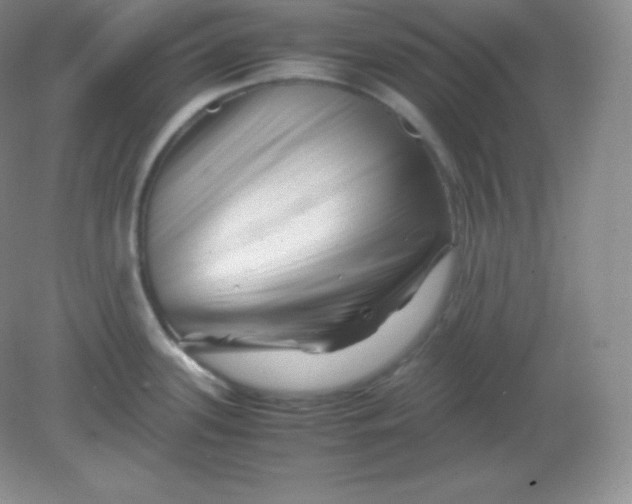 X0000082171339200702021717