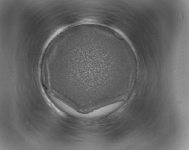 X0000082171341200702021717