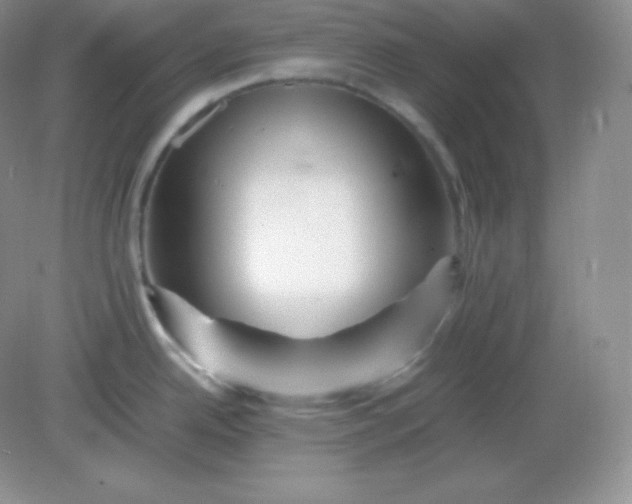 X0000082171342200702021717