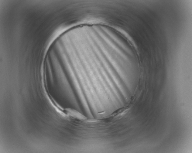 X0000082171343200702021717