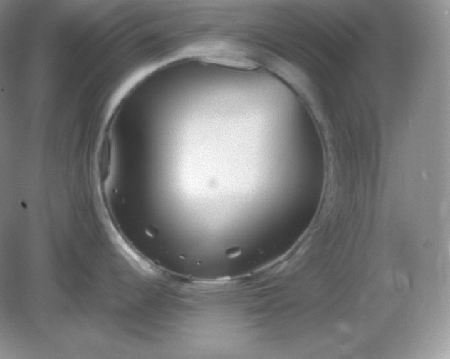 X0000082171344200702021717