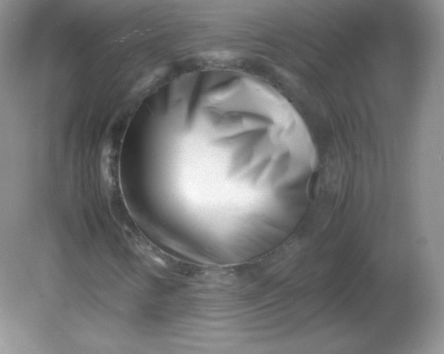 X0000082171346200702021716