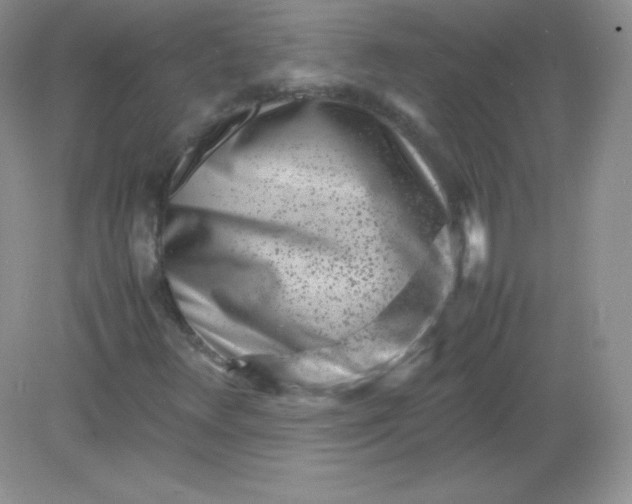 X0000082171348200702021716