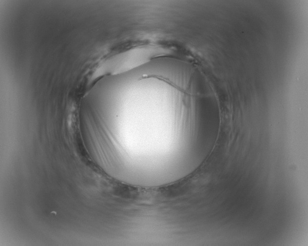 X0000082171349200702021716