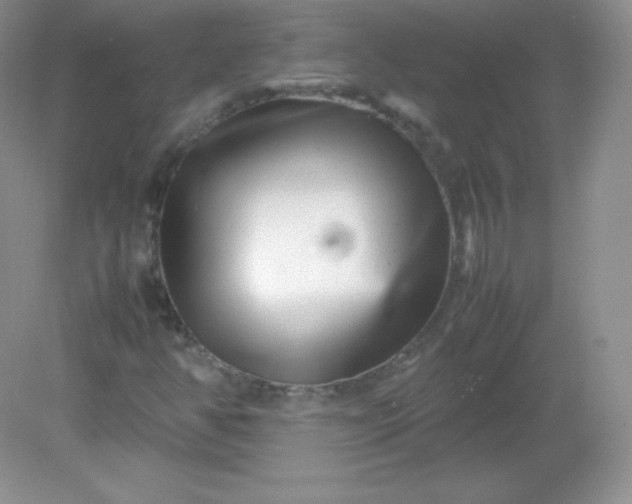 X0000082171350200702021716