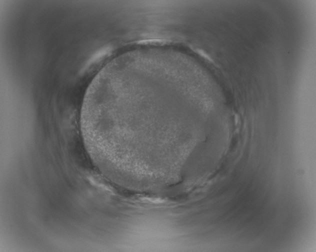 X0000082171351200702021716