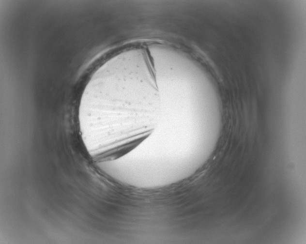 X0000082171352200702021716