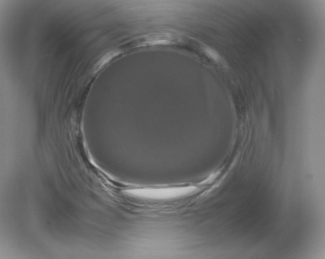 X0000082171353200702021716