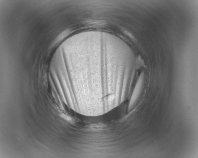 X0000082171354200702021716