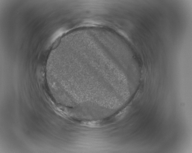 X0000082171355200702021716