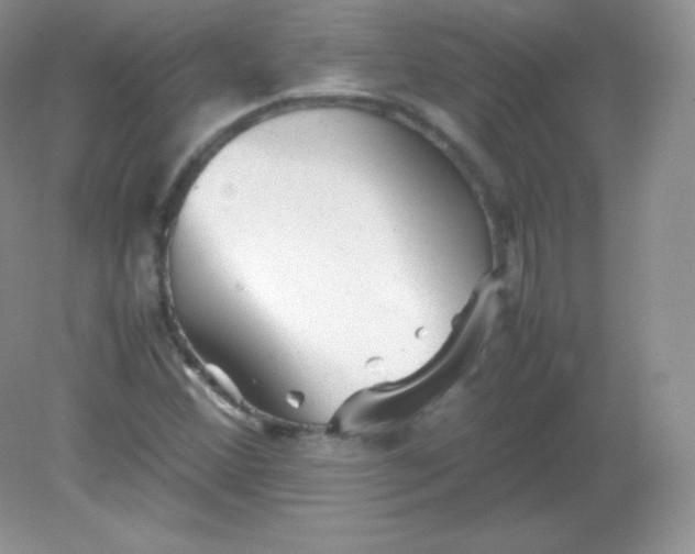 X0000082171356200702021716