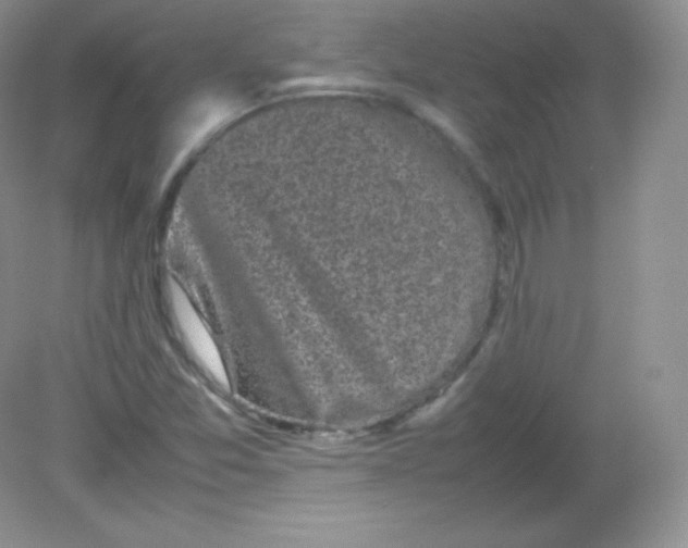 X0000082171357200702021716