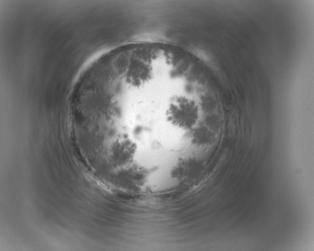 X0000082171358200702021716