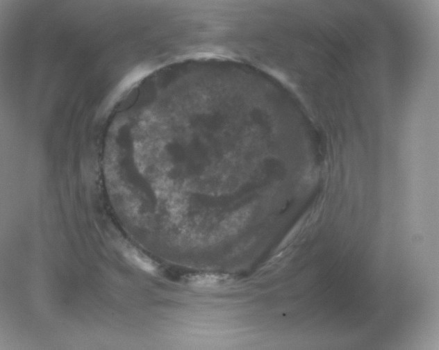 X0000082171359200702021716