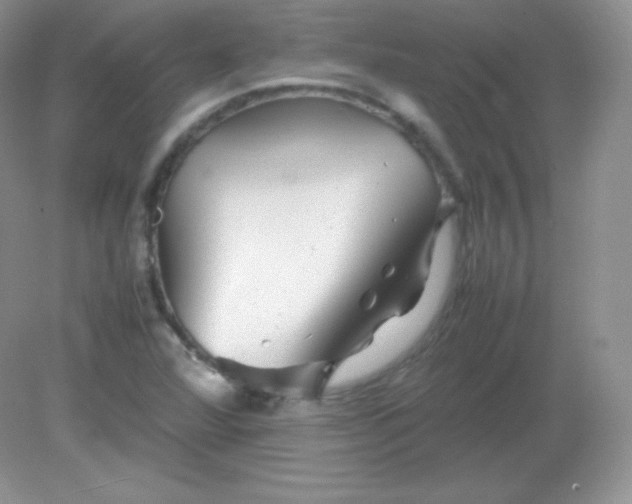 X0000082171360200702021716