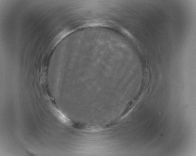 X0000082171361200702021716