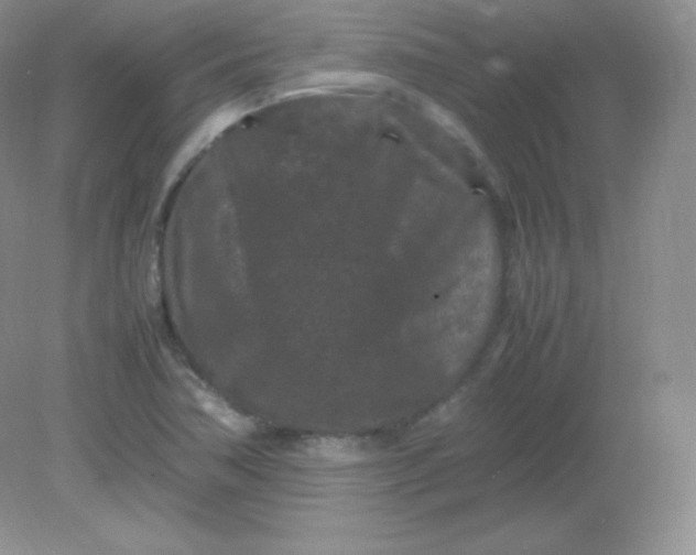 X0000082171362200702021716