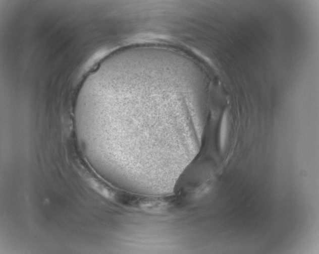 X0000082171363200702021716