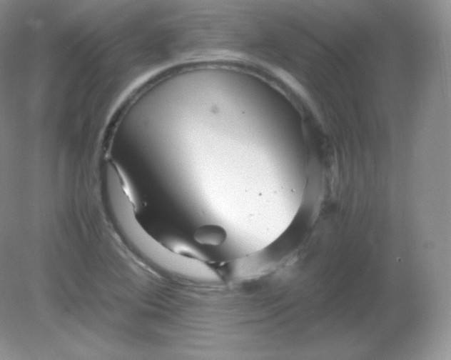 X0000082171364200702021716