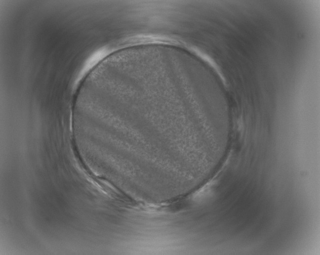 X0000082171365200702021716