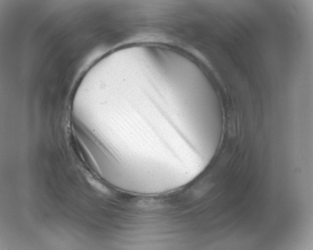 X0000082171366200702021716