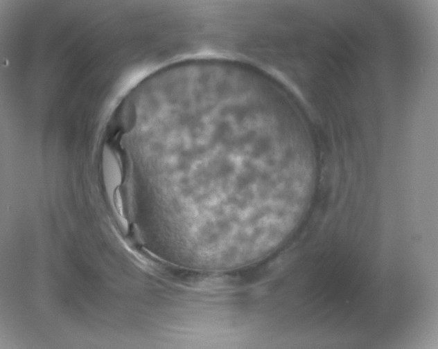 X0000082171367200702021716