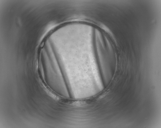 X0000082171368200702021716