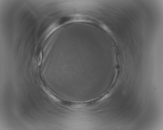 X0000082171369200702021716