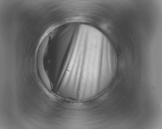 X0000082171370200702021716