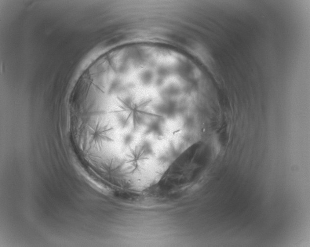 X0000082171371200702021715