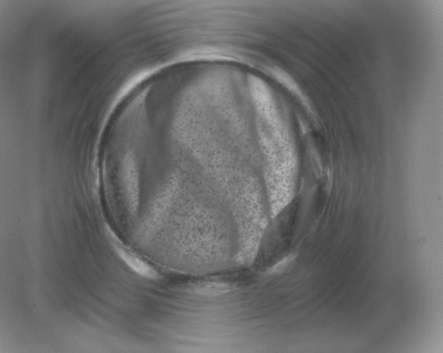 X0000082171372200702021715