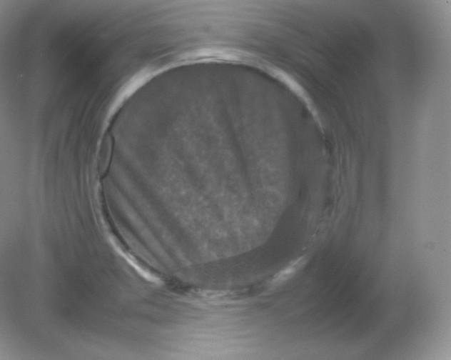 X0000082171373200702021715