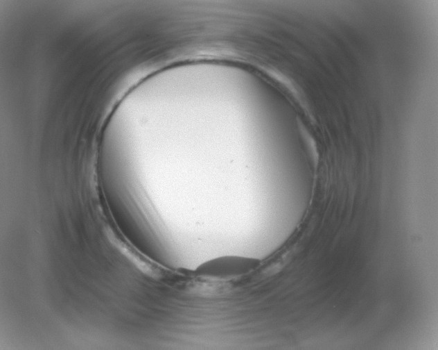 X0000082171374200702021715